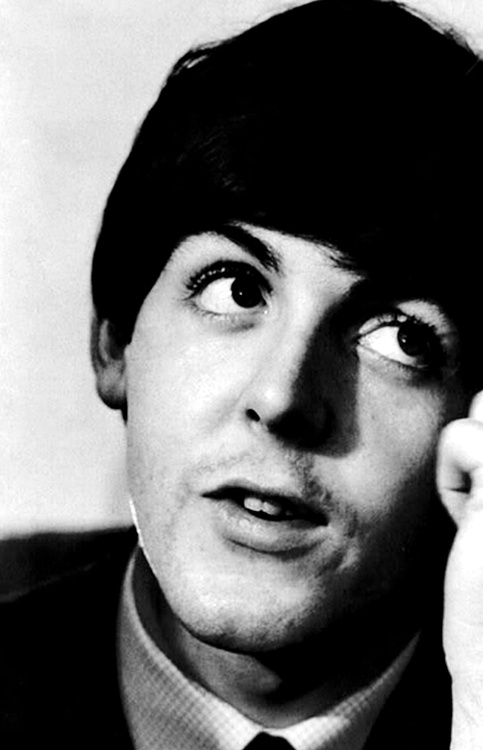 Image result for Paul McCartney puppy dog eyes